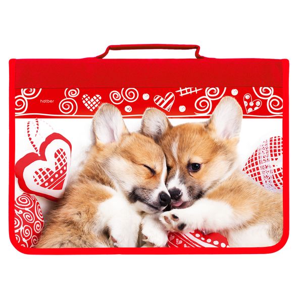 Папка для тетрадей А4ф Hatber С РУЧКОЙ на молнии конгрев-Очаровательные щенки- , 